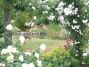 jardins - fleurs