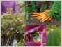 Truffaut du jardin �cologique