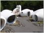 Bungalow bulles