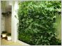 Murs v�g�taux - Les Jardins de Babylone