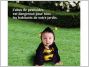 jardin b�b� abeille