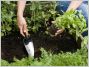 Pr�parer son jardin au printemps