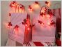 CHAM / Infos, Titre & Chap�