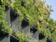 Fiche Technique  - Philippe Starck et Triptyque Architecture imaginent un bâtiment exotique