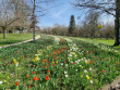 Jardins d&#039;exception : Le printemps célébré au château de Cheverny