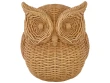 Une chouette protectrice 