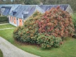 A la découverte des camélias du parc de Chantore