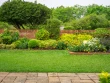 Changement climatique : 6 Français sur 10 adaptent leur jardin 