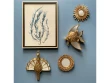 Des plumes en or
