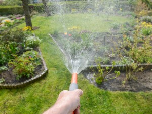 Dix astuces pour économiser l'eau au jardin 