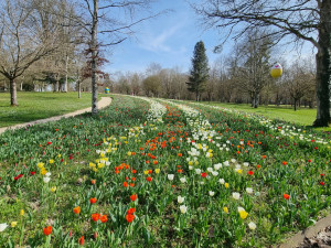 Jardins d'exception : Le printemps célébré au