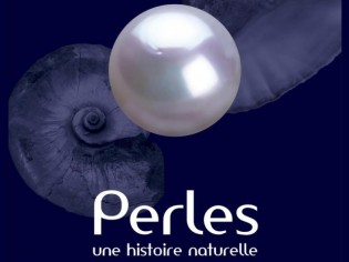Le Museum d'Histoire Naturelle revêt ses plus belles perles