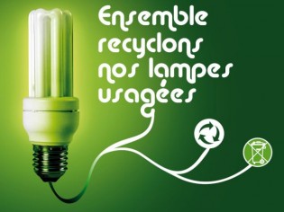 12 millions de lampes recyclées en 1 an