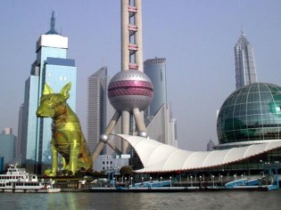 Un chien jaune au c&oelig;ur de Shanghai