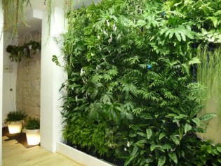 Les murs végétaux se donnent en spectacle
