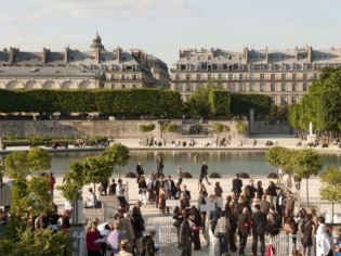 Le jardin fait son show aux Tuileries