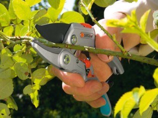 Les outils indispensables pour jardiner au printemps