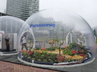Un potager urbain éphémère dans une bulle géante
