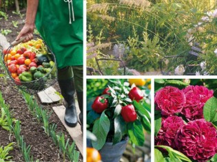 Dix livres pour jardiner comme un pro