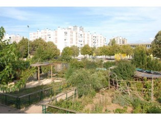 Un quartier des Hauts de Valence est distingué pour ses "jardins partagés" 