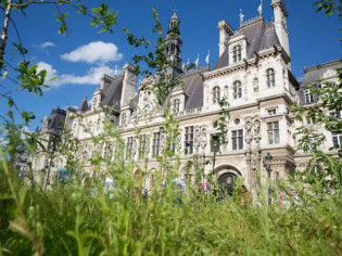 Un jardin éphémère devant l'Hôtel de Ville de Paris