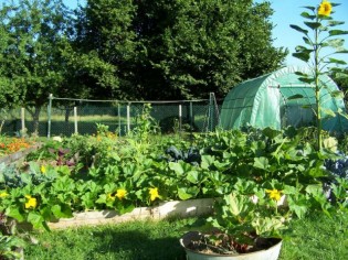 Dix exemples de jardins sans pesticides