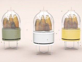 Prix du Design Durable : une ruche nomade récompensée