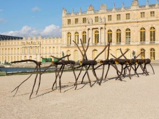 Pluie de troncs d'arbres calcinés à Versailles