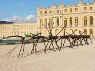 Pluie de troncs d'arbres calcinés à Versailles