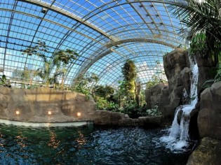 Bienvenue dans la bulle tropicale du zoo de Vincennes