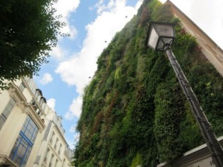 Plus de 200 lieux seront végétalisés en 2015 à Paris 
