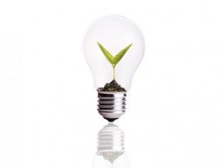 Economies d'énergie : campagne nationale de distribution d'ampoules LED
