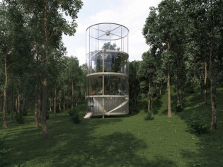 Insolite : Une maison transparente construite autour d'un arbre