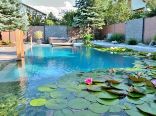 Avant/après : une piscine traditionnelle transformée en bassin naturel