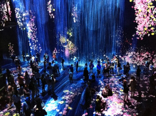 teamLab : Au-delà des limites, l'expo à ne pas rater à la Villette