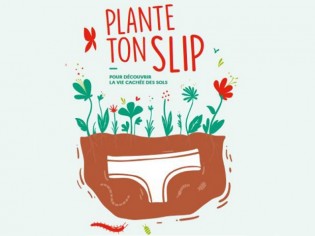 Découvrez l'état de vos sols avec l'opération "Plante ton slip" !