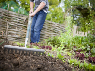 Que faire dans son jardin en avril ? 