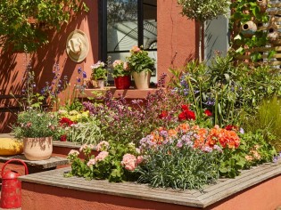 Vacances, canicule : les bons gestes pour sauver vos plantes en été