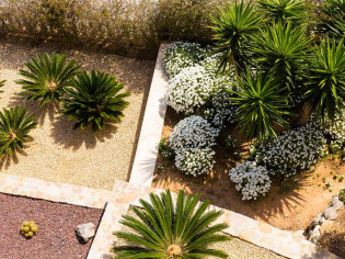 Jardin sec : comment créer un jardin peu gourmand en eau ?