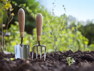 Utiliser les dictons pour mieux jardiner ? Une bonne idée !
