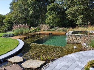 Piscine naturelle : un bassin écolo dans votre jardin