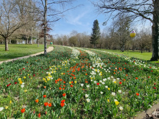 Jardins d'exception : Le printemps célébré au château de Cheverny
