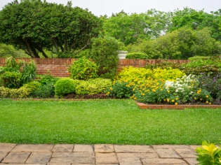 Changement climatique : 6 Français sur 10 adaptent leur jardin 