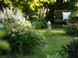 Entreprises du paysage : une croissance port&eacute;e par le march&eacute; priv&eacute;