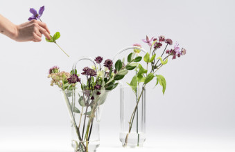 Des objets inspirs de la ...
