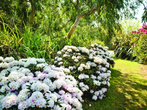 Prix de l'Art du jardin 2025 : Trois jardins d'exception à visiter !