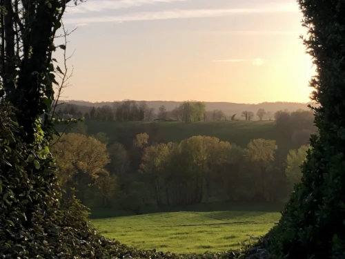 Qui sont les trois finalistes du Prix de l'Art du Jardin?