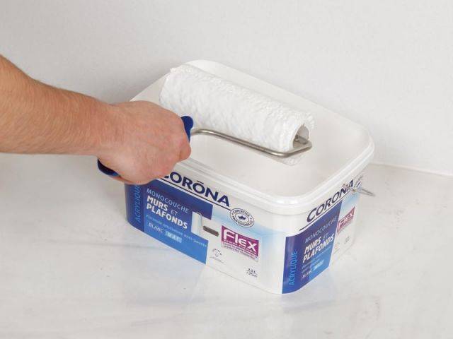 peinture flex corona