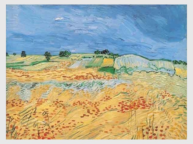 Coquelicots Van Gogh