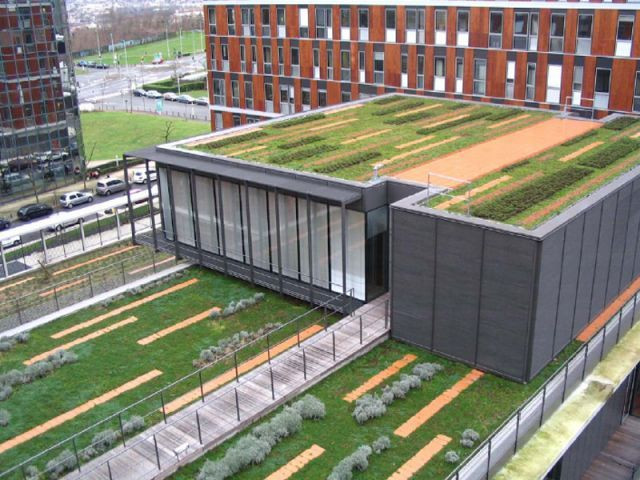 Bureaux Ministère des Finances - toiturevégétalisé